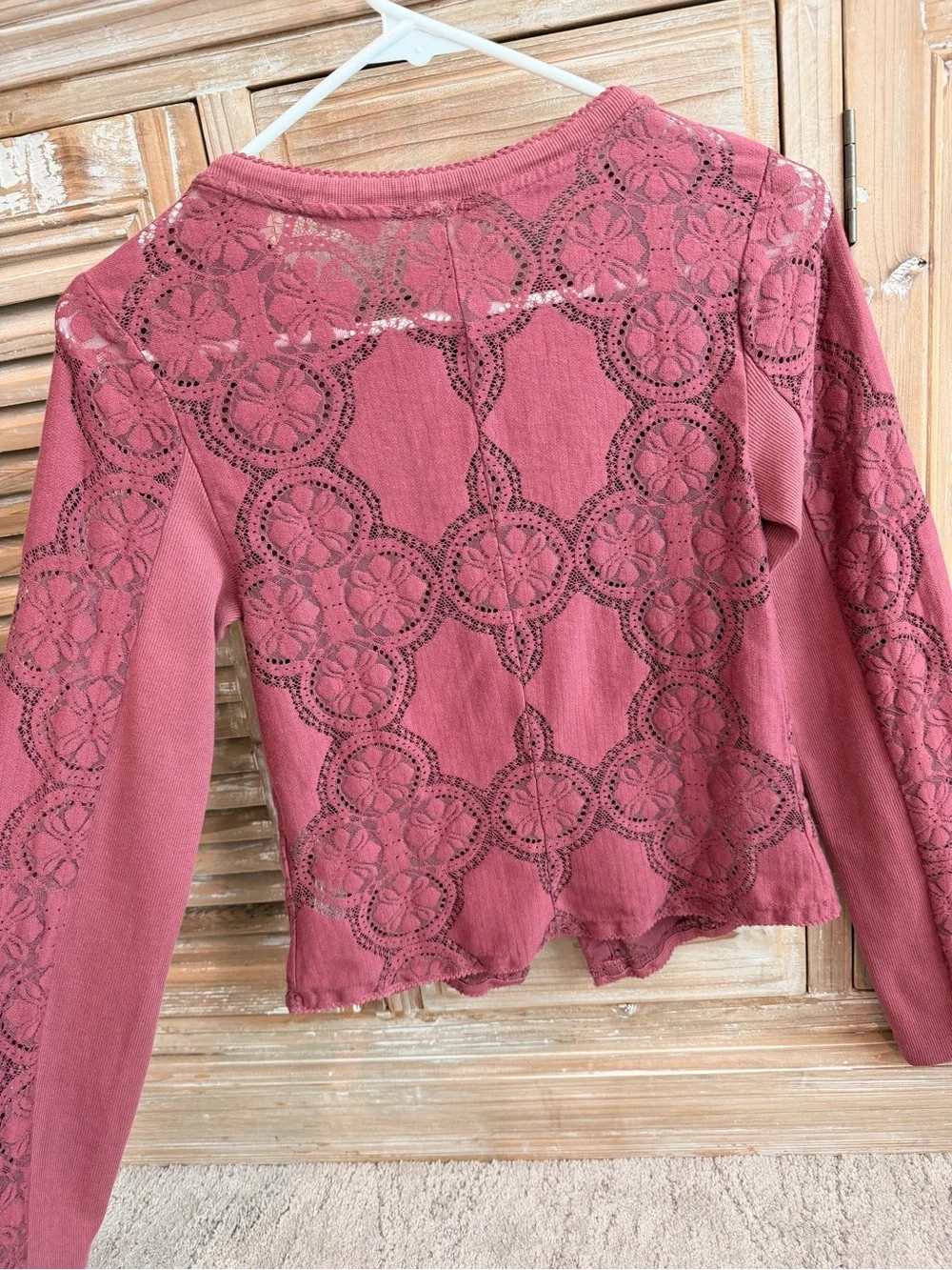 Free People Jae Sheer Crushed Berry Lace Knit Long Sleeve Top (Size Small)